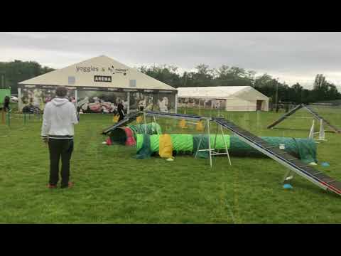 7.6.2020 agility trénink