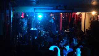 Mustard Plug - The Beer Song