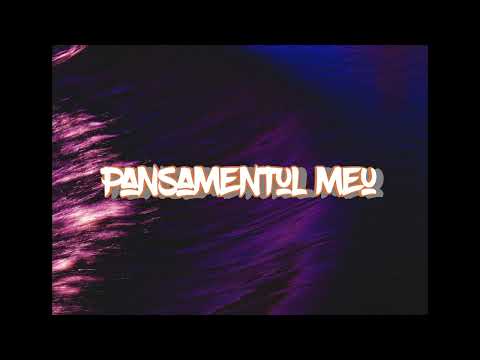 F. Purice ❌️ Pansamentul meu ❌️ 2022
