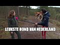 Slijptol voert actie voor Chuba, de leukste hond van Nederland