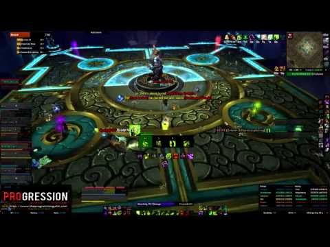 Progression -  Lei Shen - 10 Man Heroic