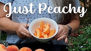 How to pit, slice, and prep peaches for future use - Pit Hack!