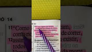 Jó 14:7 #shorts #youtubeshorts #viral #religion