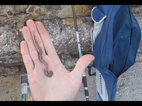 Operazioni alla presenza di lyambliya Trattamento del bambino circa un anno da vermi