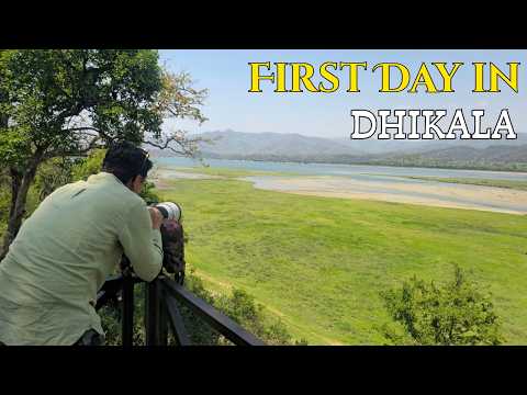 My First Day in Dhikala | Epic Safari in Jim Corbett National Park