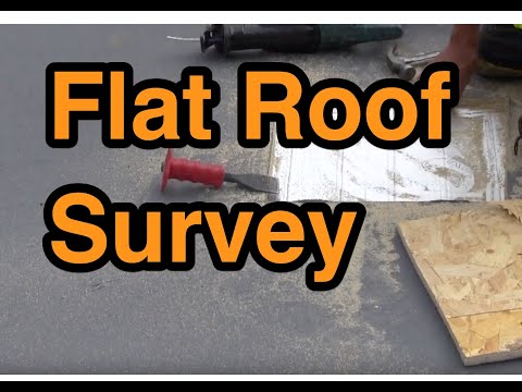 Flat Roof Survey on new warm flat roof rear extension
