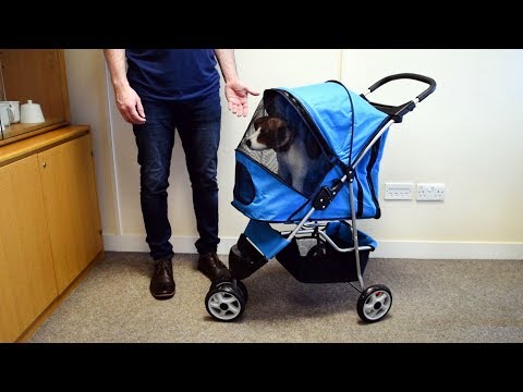 Part of a video titled Pet Stroller by PetPlanet - YouTube