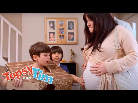 Mommy's Pregnant! | Topsy & Tim Compilation For Kids | WildBrain Zigzag