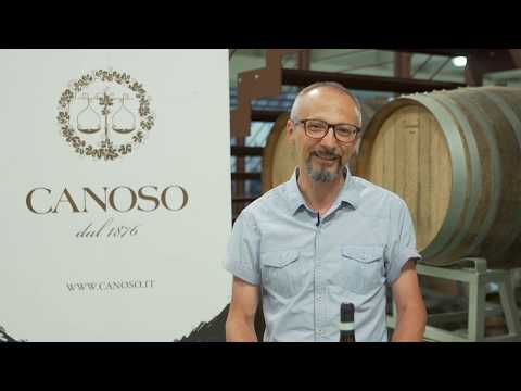 Massimo Meneghello Canoso