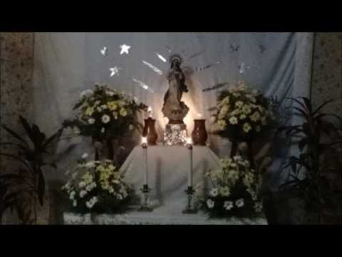 download lagu mp3 mp4 Saludo A La Virgen, download lagu Saludo A La Virgen gratis, unduh video klip Saludo A La Virgen