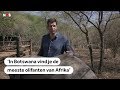 OLIFANTEN: Botswana wil jacht weer toestaan