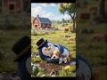 Pinguono Rescues A Puppy Heartwarming Penguin Animation Short Cartoon Penguin Cute