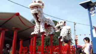 preview picture of video '2009 YuHua Lion Dance @ Kajang 加影育华醒狮团 2009'