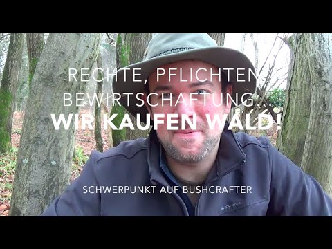 We're buying forest! Rights, responsibilities, forestry, finances! (Parts 1-3)