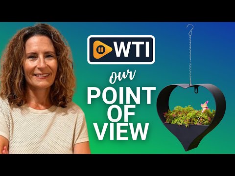 Hanging Planters for Indoor & Outdoor Plants - Stylish and Functional Planters for Wall or Ceiling - WTI product video review