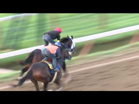 Laoban Workout at Saratoga Race Course