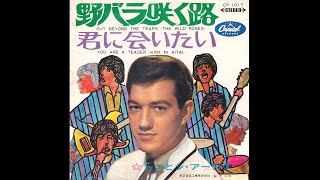 Don Gant & The Argus - You Are A Teaser 1968