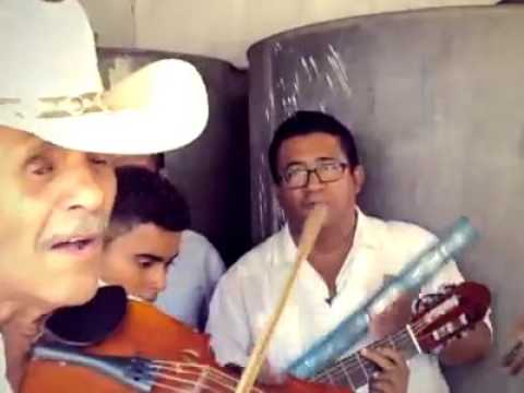 Viva Linaca   Conjunto San Isidro