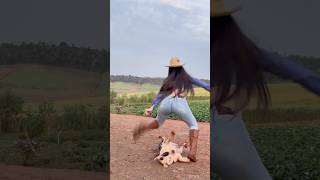 #shortsfeed #piadascurtas #pecuarista #piadasrapidas #cowboys