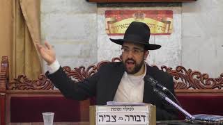 הרב מאיר אליהו | גלגולי נשמות חלק ד׳ | מוסיואף תשע״ז
