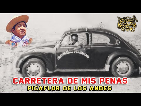 Carretera De Mis Penas - Picaflor De Los Andes