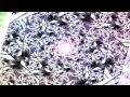 Entheogenic - Aranyanyara (Abakus Remix) 