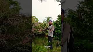 Download lagu Menghindari Suara Latto-latto Yang Mencekam. #shorts #lattolatto #videos #news #doityourself mp3 Download lagu Menghindari Suara Latto-latto Yang Mencekam. #shorts #lattolatto #videos #news #doityourself mp3