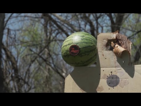 Firebird 50 BIO Target on GunStuff TV