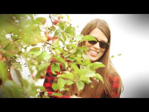 LES RATS D'SWOMPE - LE TEMPS DES POMMES (Vidéoclip officiel)