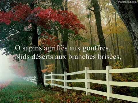 Video thumbnail for Dans la forêt de Septembre