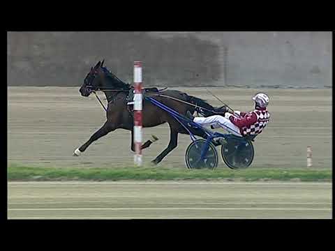 Napoli Trotto 19/03/2021 - 3ª corsa