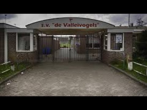 s.v. de Valleivogels - v.v. Lunteren