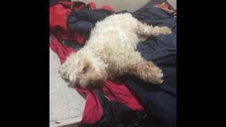 God Bless You Duke!:(