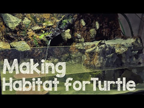 How to make AquaTerrarium for Turtle with Waterfall