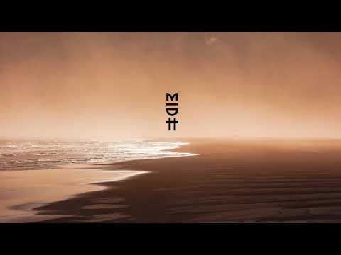 Shimza Feat. Kususa - Kunye