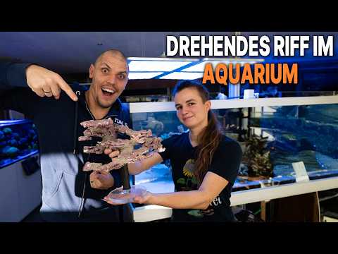 TUNZE Aquarientechnik and Riffgärtnerei