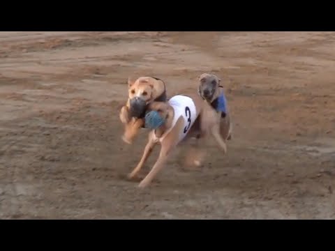 OTEO - Only Playin' (Official Video)