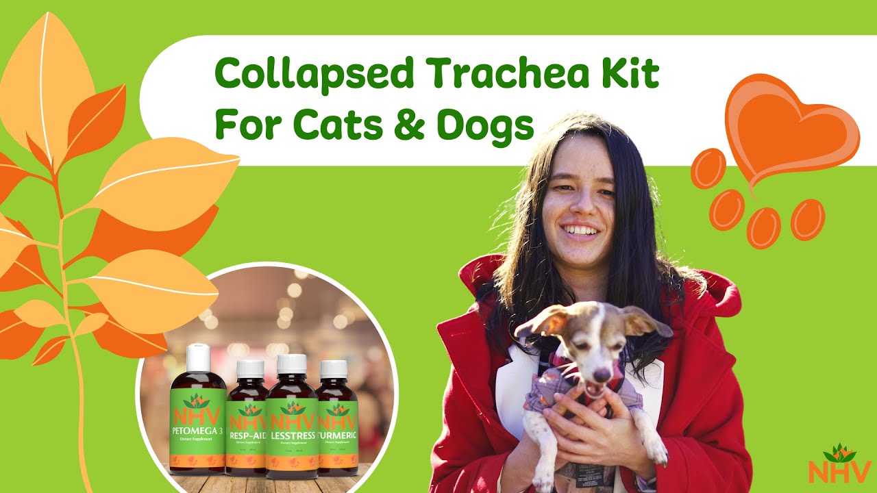 NHV Collapsed Trachea Kit For Cats & Dogs