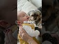 The Oldest Person Alive