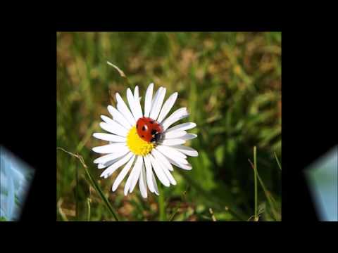 Wochenorakel vom  08.02 bis 14.02.2016