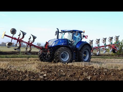 **TOP** New Holland T7.315 HD | Pietro Moro | Ovlac