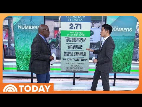 Spring by the numbers: Travel prices, sports, pop culture and more