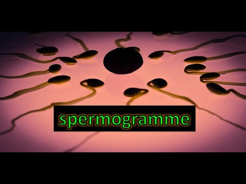 Tout savoir sur le #spermogramme