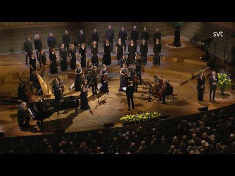 WE PLAY FOR PEACE - CHARITY CONCERT FOR UKRAINE W/ KYIV SOLOISTS / BENNY ANDERSSON (2022)
