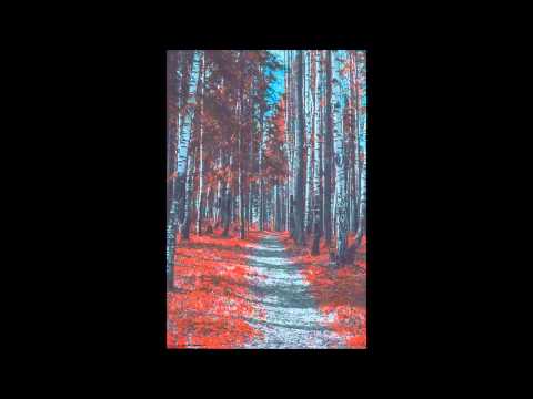 Visions video