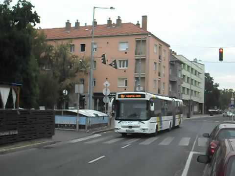 Credo csuklósbusz / Credo bendy-bus