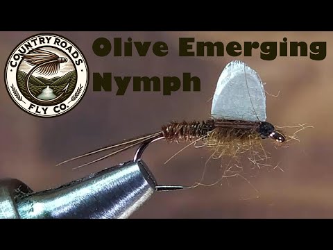 Olive Emerging Nymph