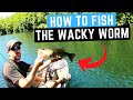 How To Fish The Wacky Worm Wacky Rig Bass Fishing