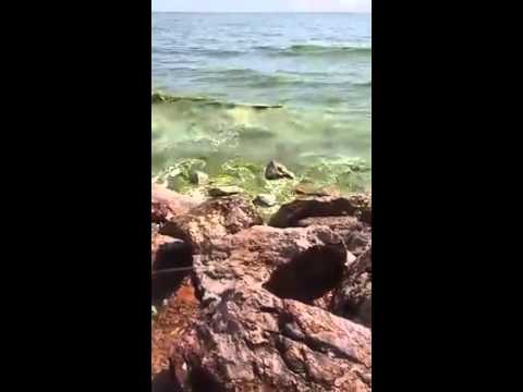 น้ำทะเล