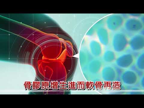 土龍精